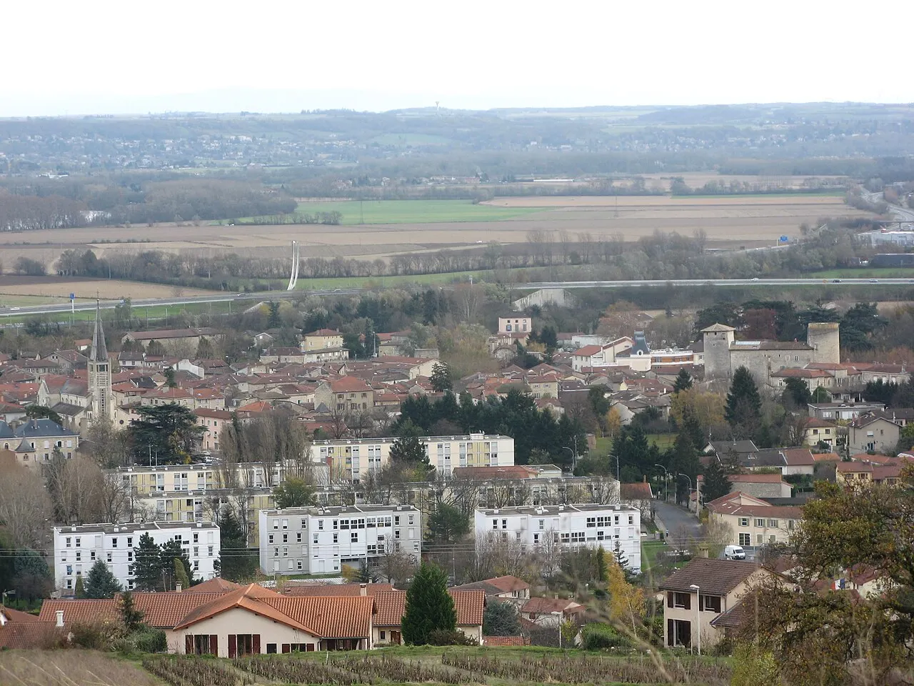 Vue de Anse (Rhône) depuis les hauteurs. On aperçoit à gauche l'église et à droite le château des deux tours. Au centre, on voit le signe…