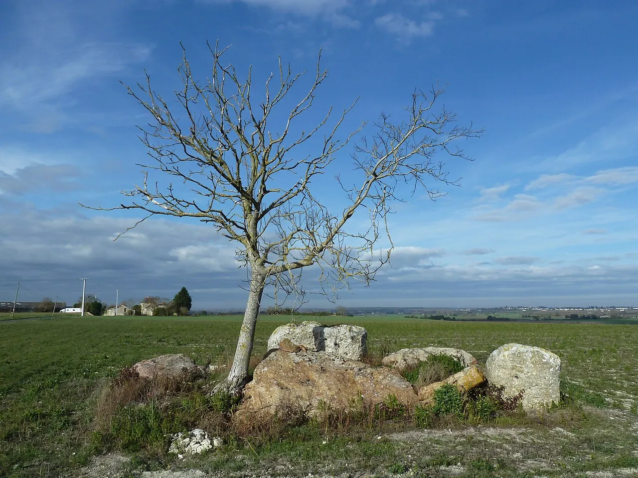 Dolmen du Griffier, Antoigné, Maine-et-Loire, Pays de la Loire, France.