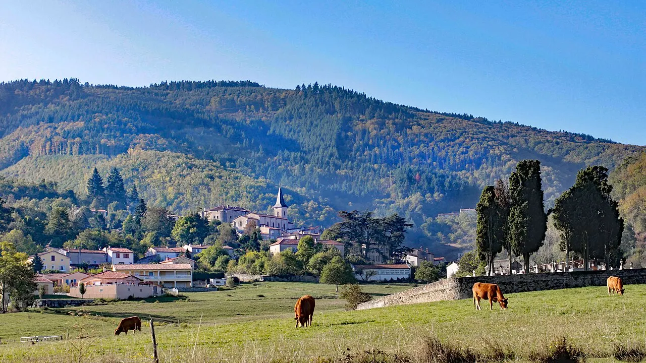 Vue générale