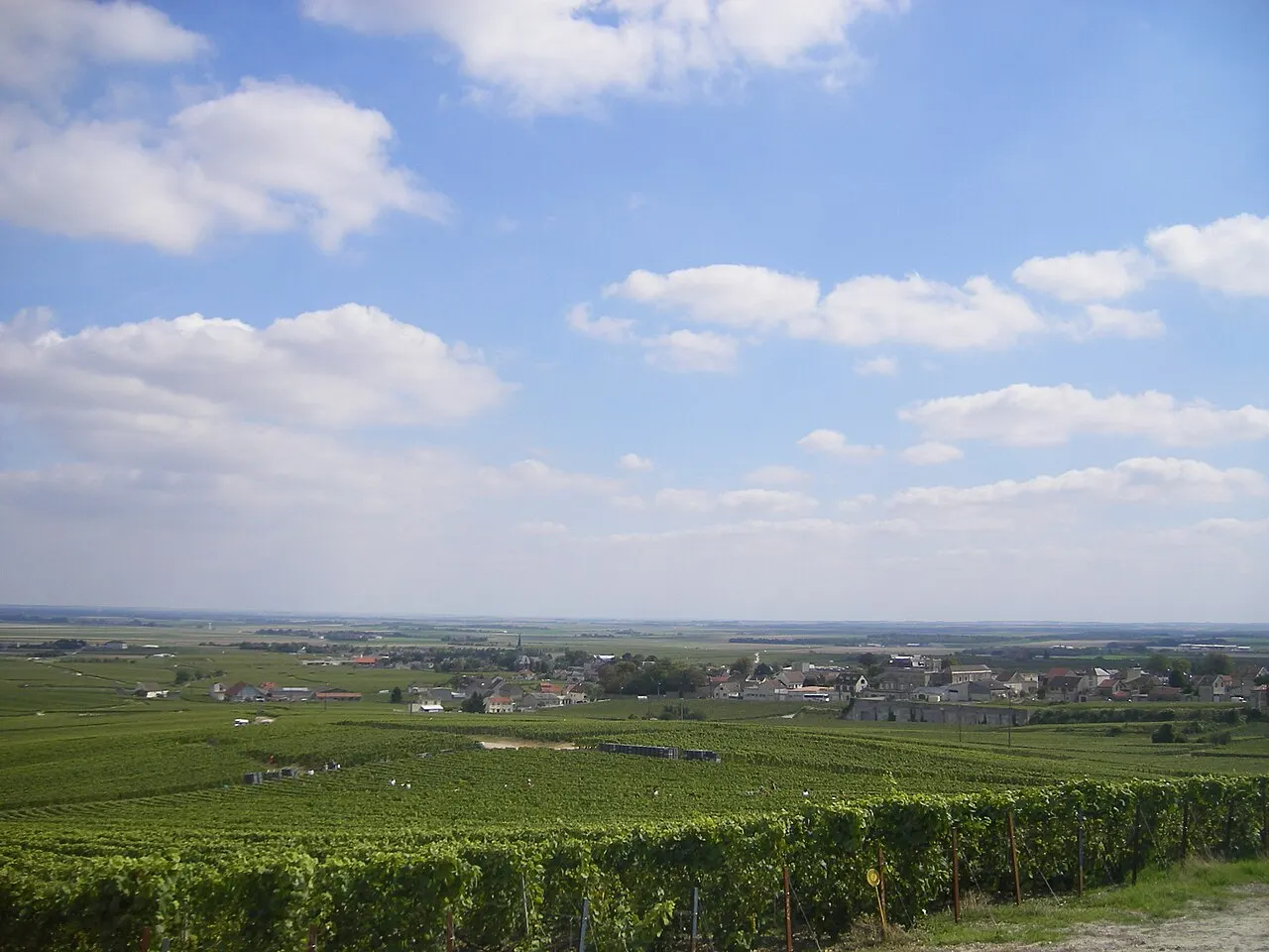 Photographie de Avize (Marne)