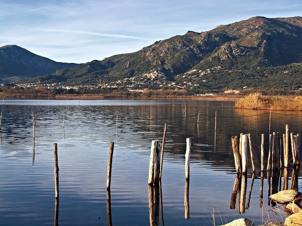 Biguglia - Etang de Biguglia