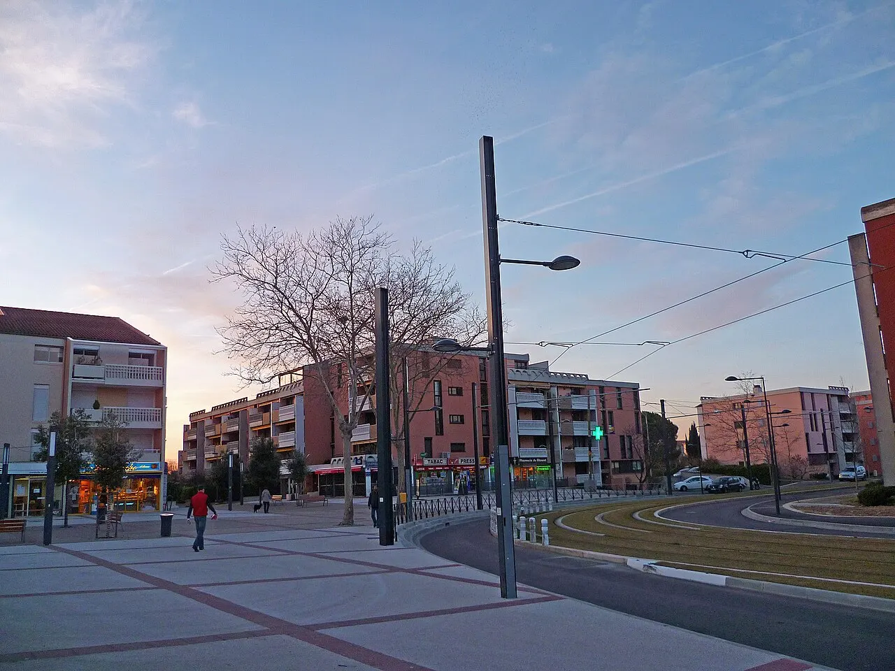 L'avenue des Pins à Blagnac (Haute-Garonne, France).