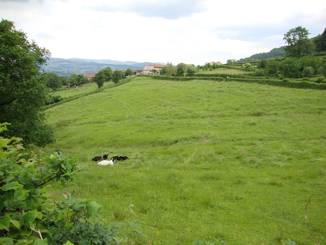 Brandon (Saône-et-Loire, Fr) paysage avec vue sur Les Cours.