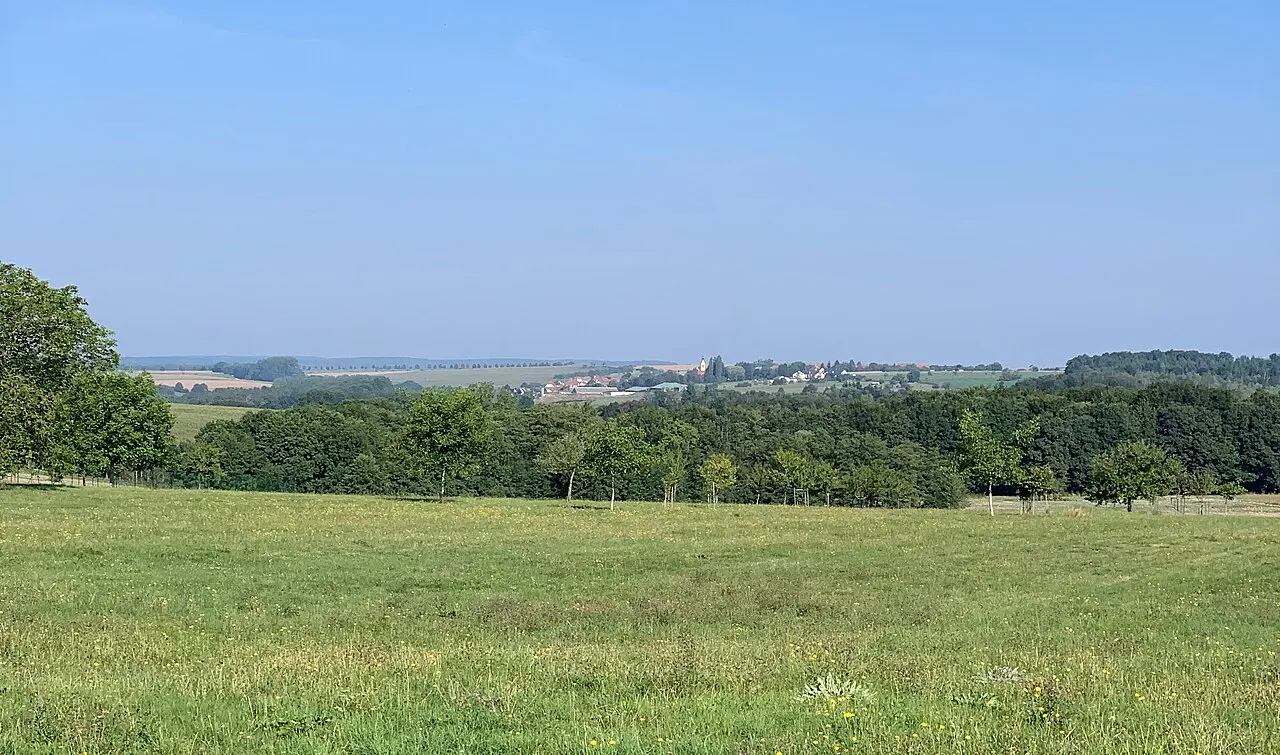 Bust vu depuis Pfalzweyer