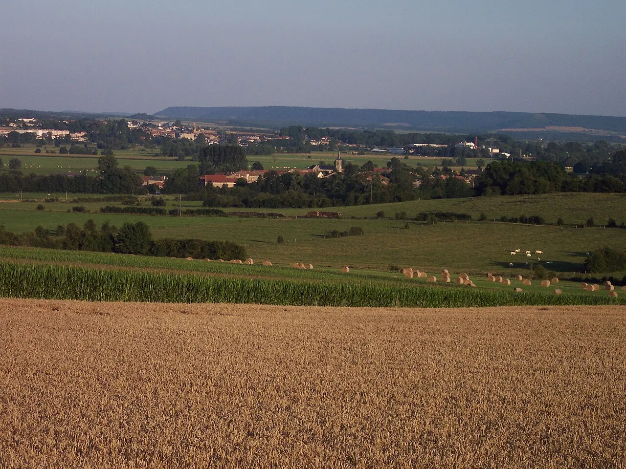 Vue sur Cesse, village dans la vallée de la Meuse, département de la Meuse, Lorraine, France