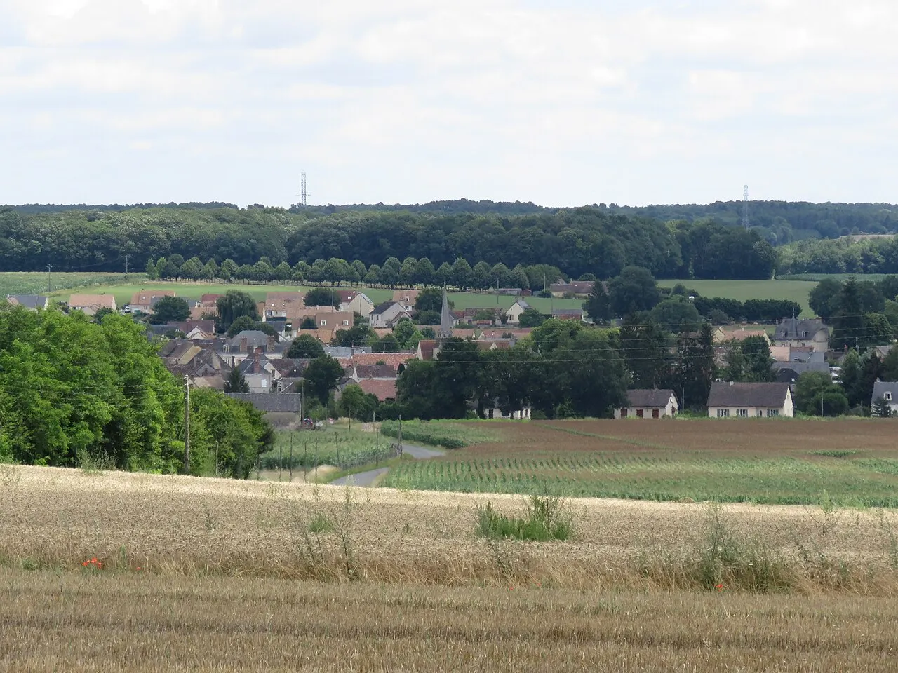 Vue du village depuis les Boutinières. On peut apercevoir la mairie sur la droite de l'image.