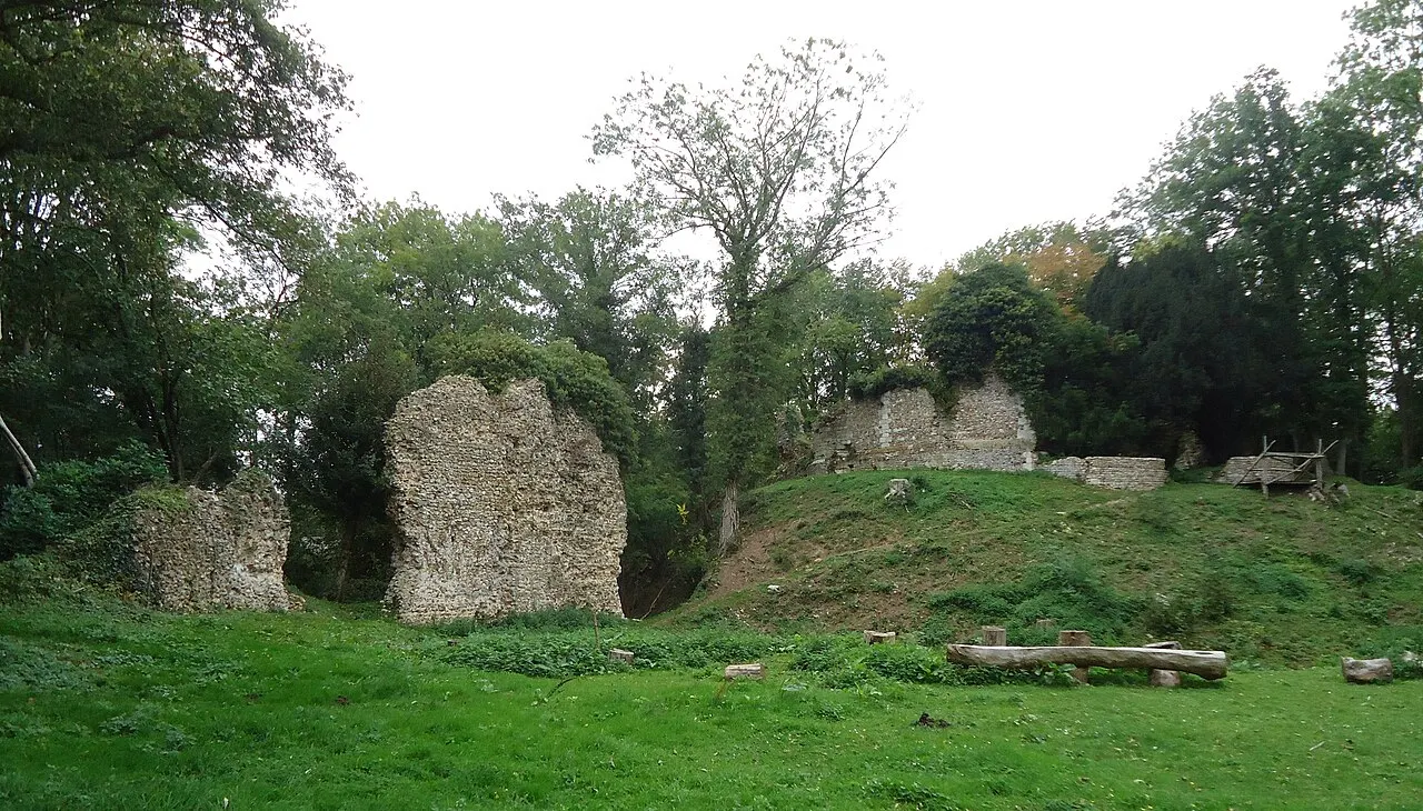 Motte castrale et ruines du château médiéval d'Avrilly XIe, XIIe (ISMH)