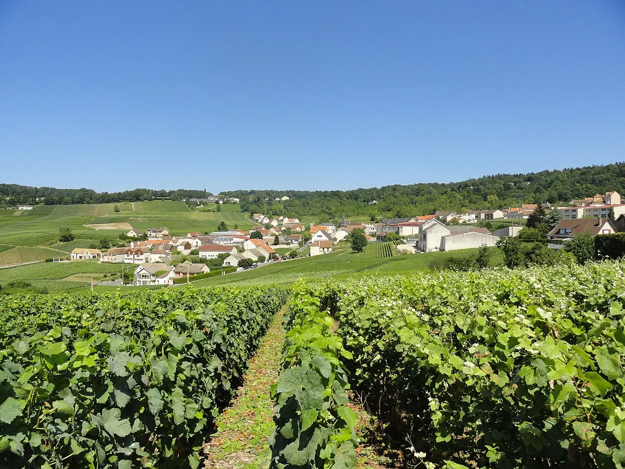 Vue du village de Champillon.