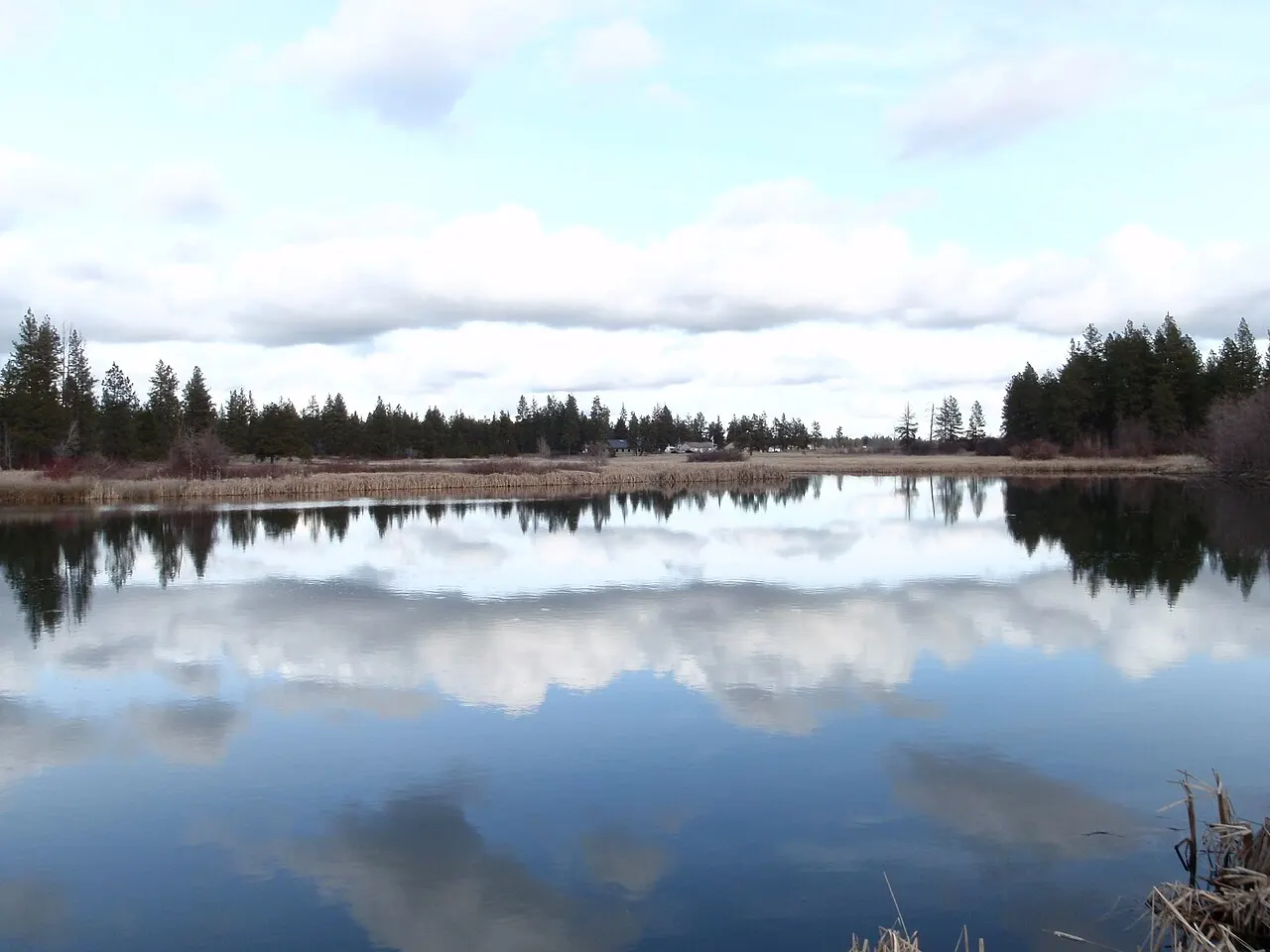 Calm waters