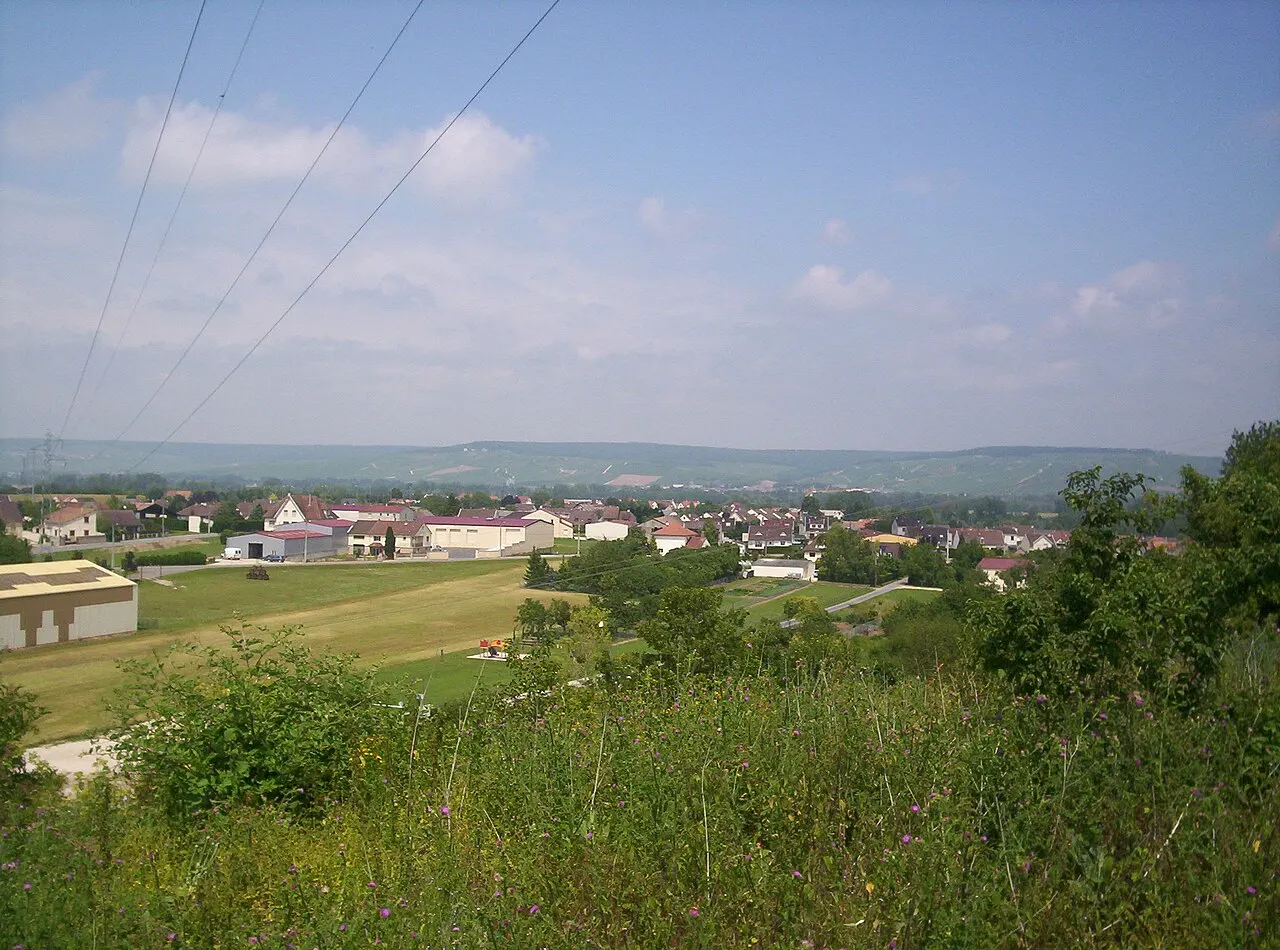 Chouilly (Marne, France), vue depuis la montagnotte. Photo prise le 07-07-06.