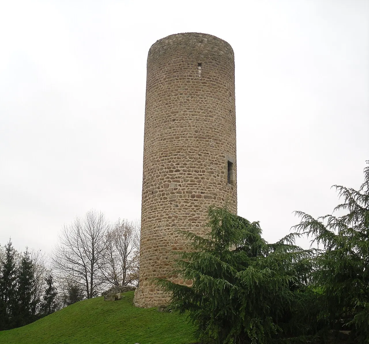 Château des comtes de Forez, à Cleppé (Loire, France)