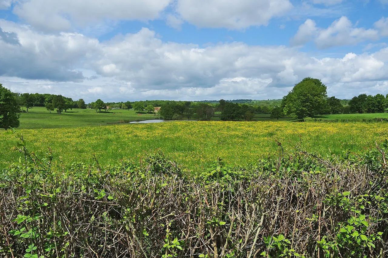 Bocage au Sud de COUZON.