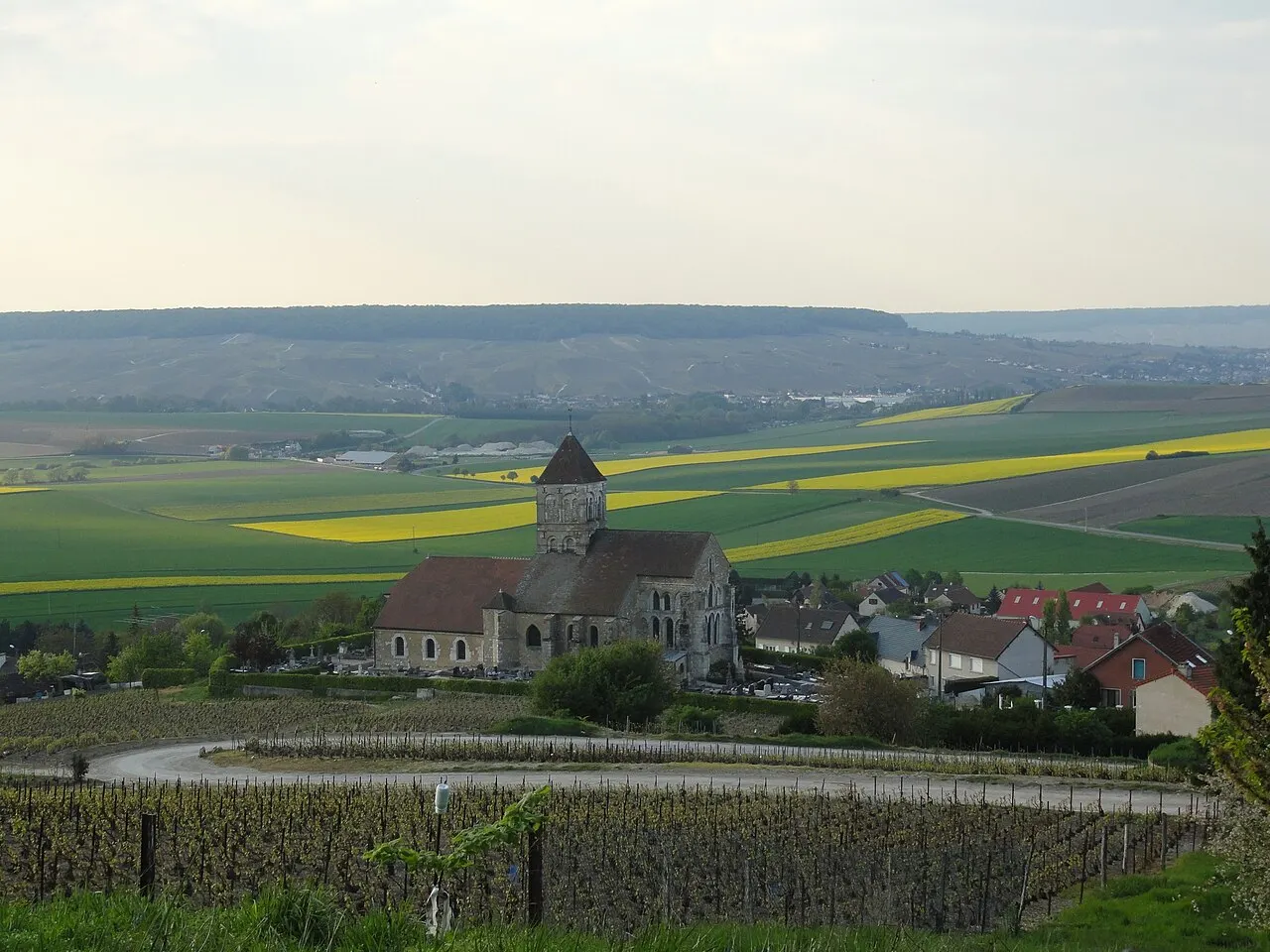 Vue du village de Cuis depuis la montagne d'Avize.