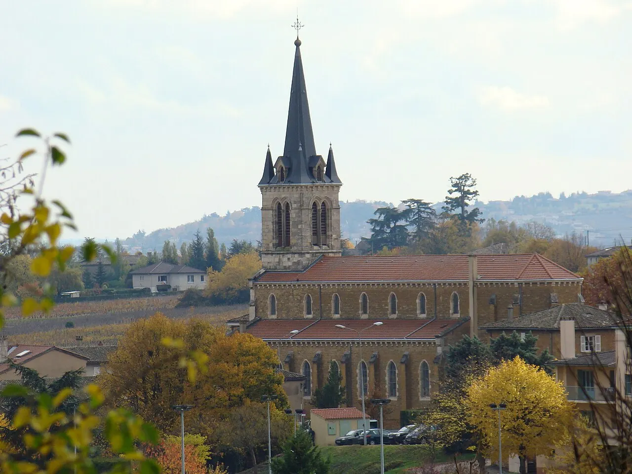 église de Denicé vue des collines environnantes
