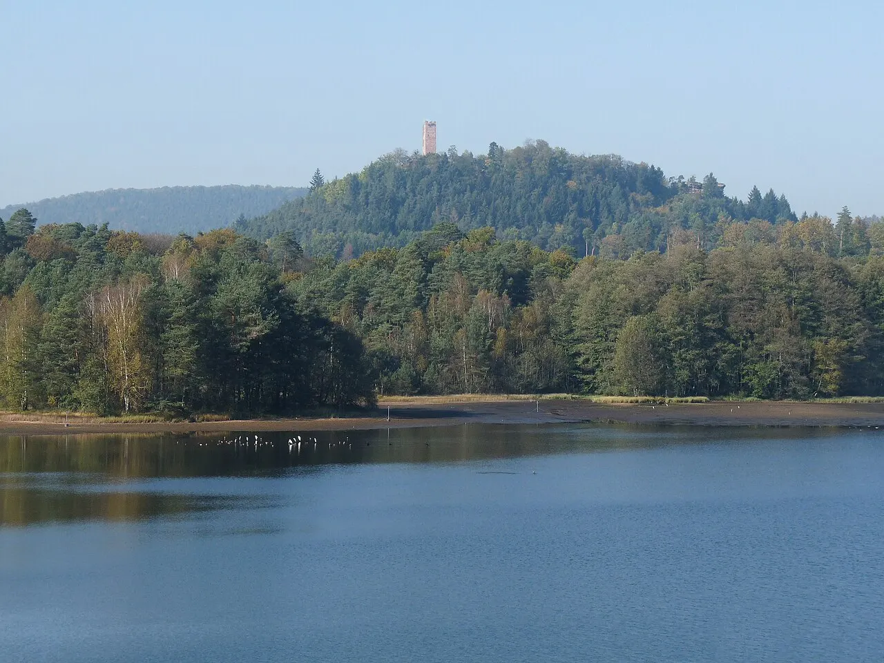 Etang de Hanau (Moselle)