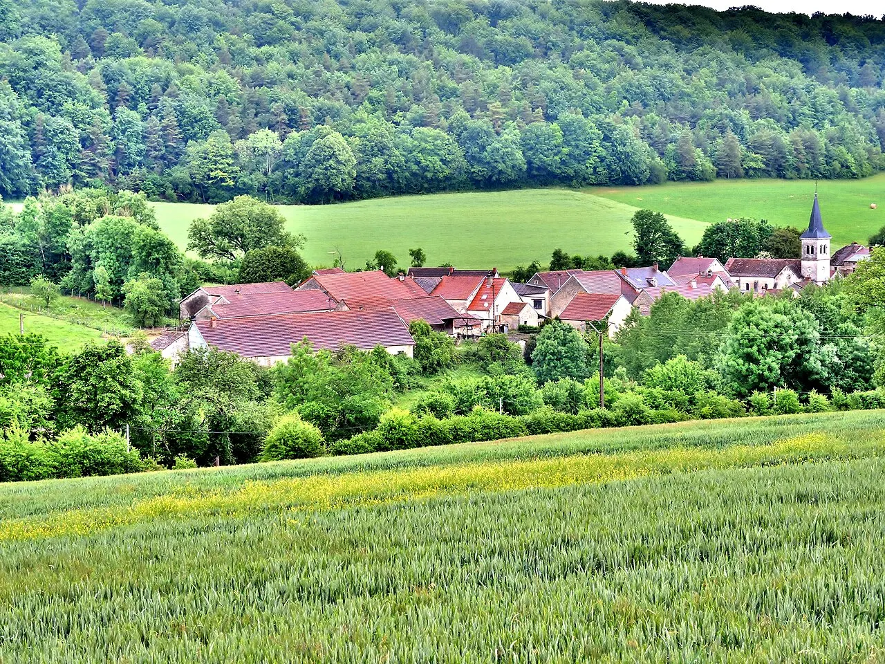 Panorama sur le village de Germaines. Haute-Marne.