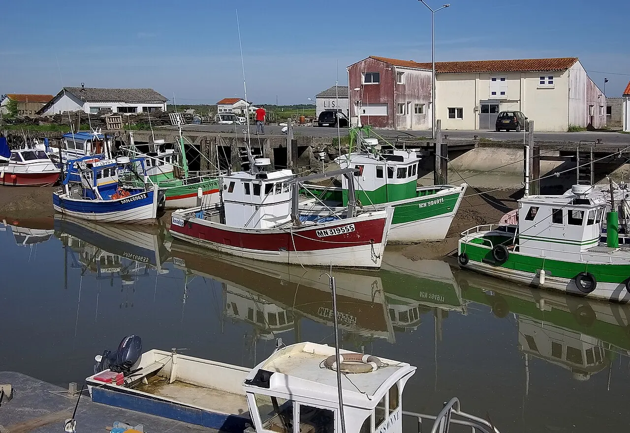 Bateaux de pêche, L'Éguille, Charente-Maritime, France.