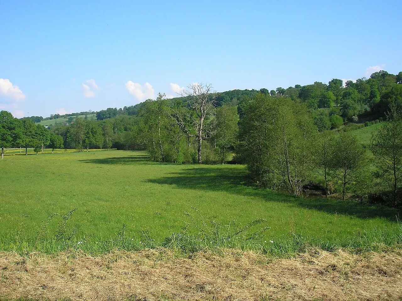 La Druance, rivière en limite entre les communes de Lénault, à gauche, et Saint-Vigor-des-Mézerets, à droite (Normandie, France).
