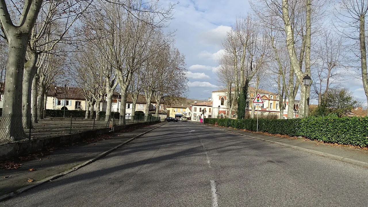 Lévignac-sur-Save (Haute-Garonne, France).
