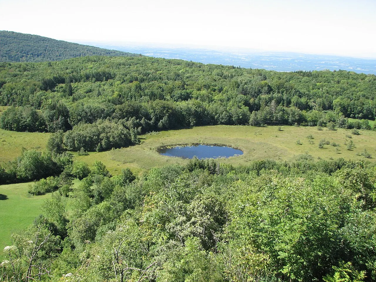 Tourbière de Cerin (Ain, France)