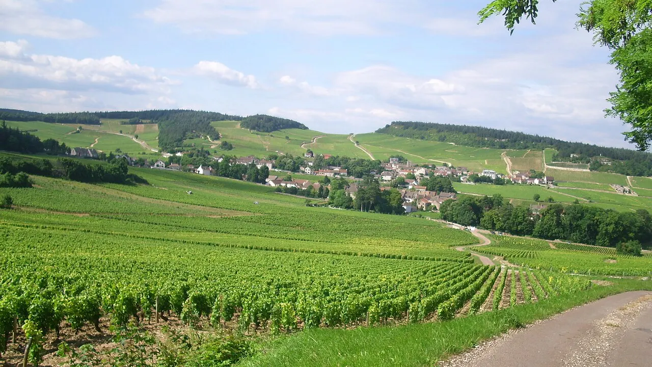 Vue de Mercurey et d'une partie de son vignoble