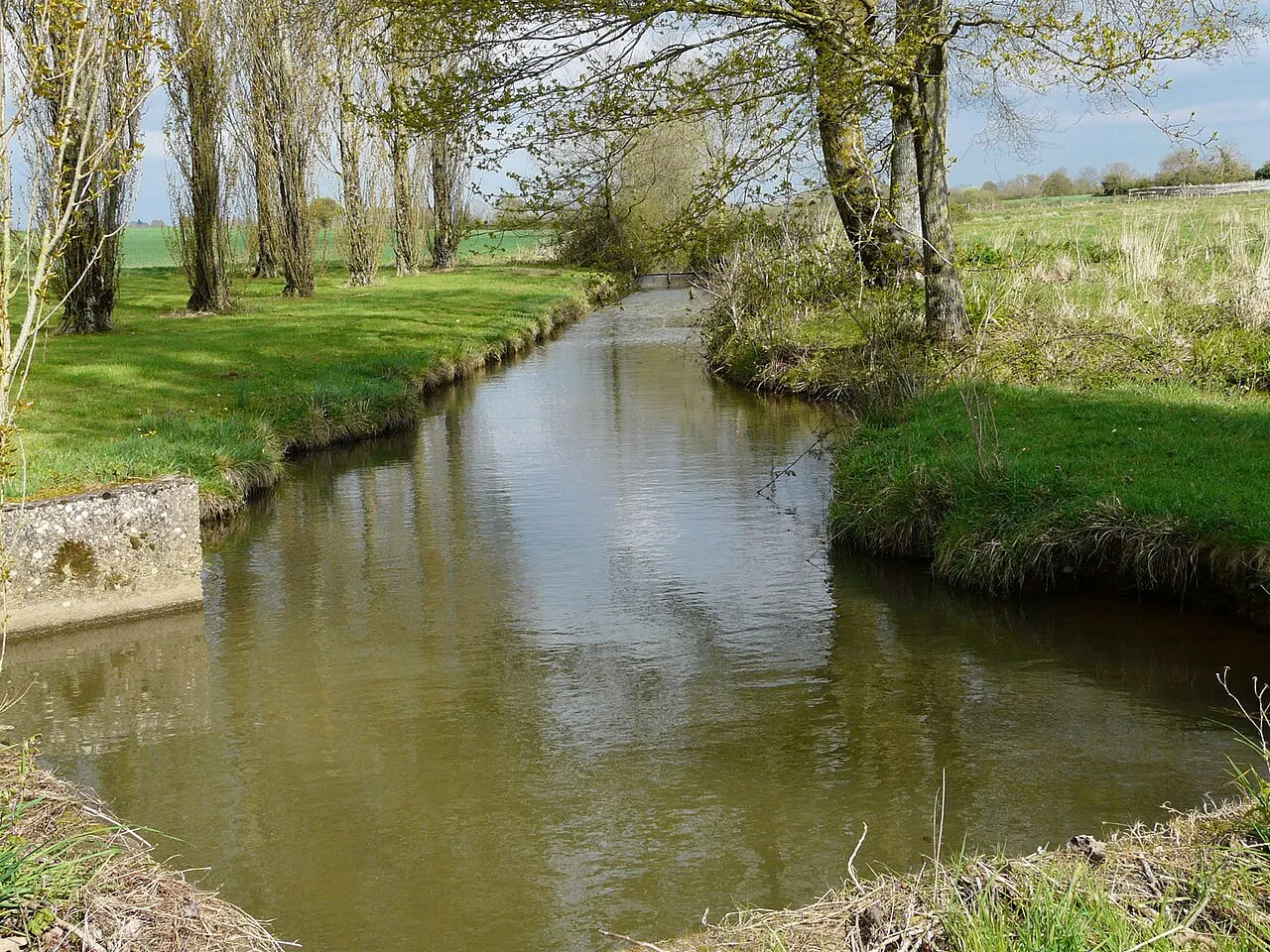 Le ruisseau Le Beusse sur la commune de Mésanger (44)