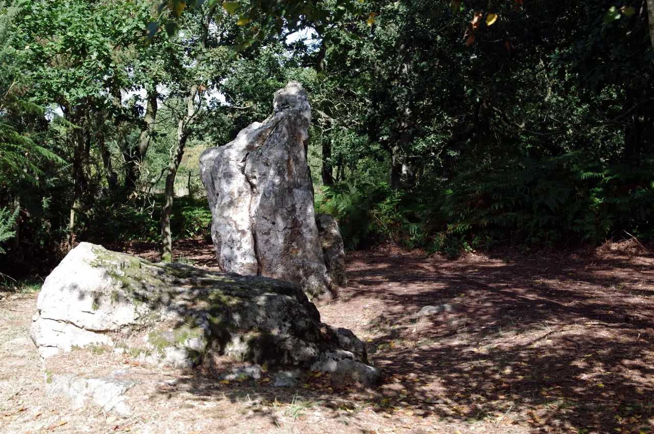 Site mégalithique de la Lande du Gras (Inscription Classement)