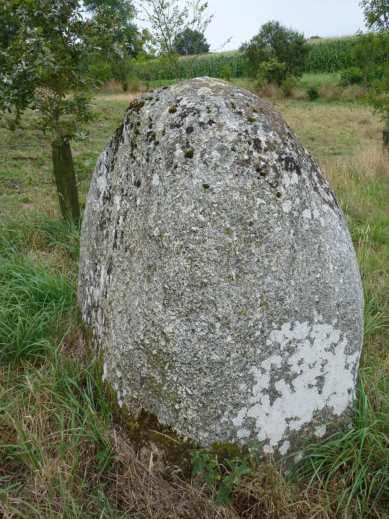 Petit menhir.