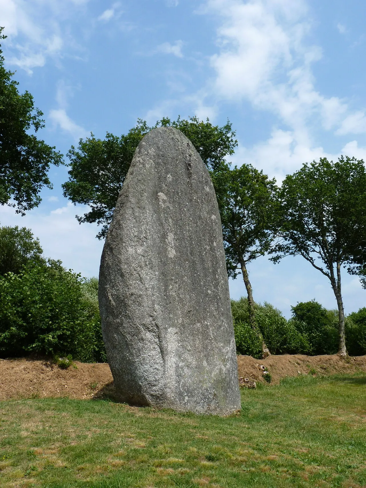 menhir d'environ 7.5 m de haut. Vue sur sa face la plus large.