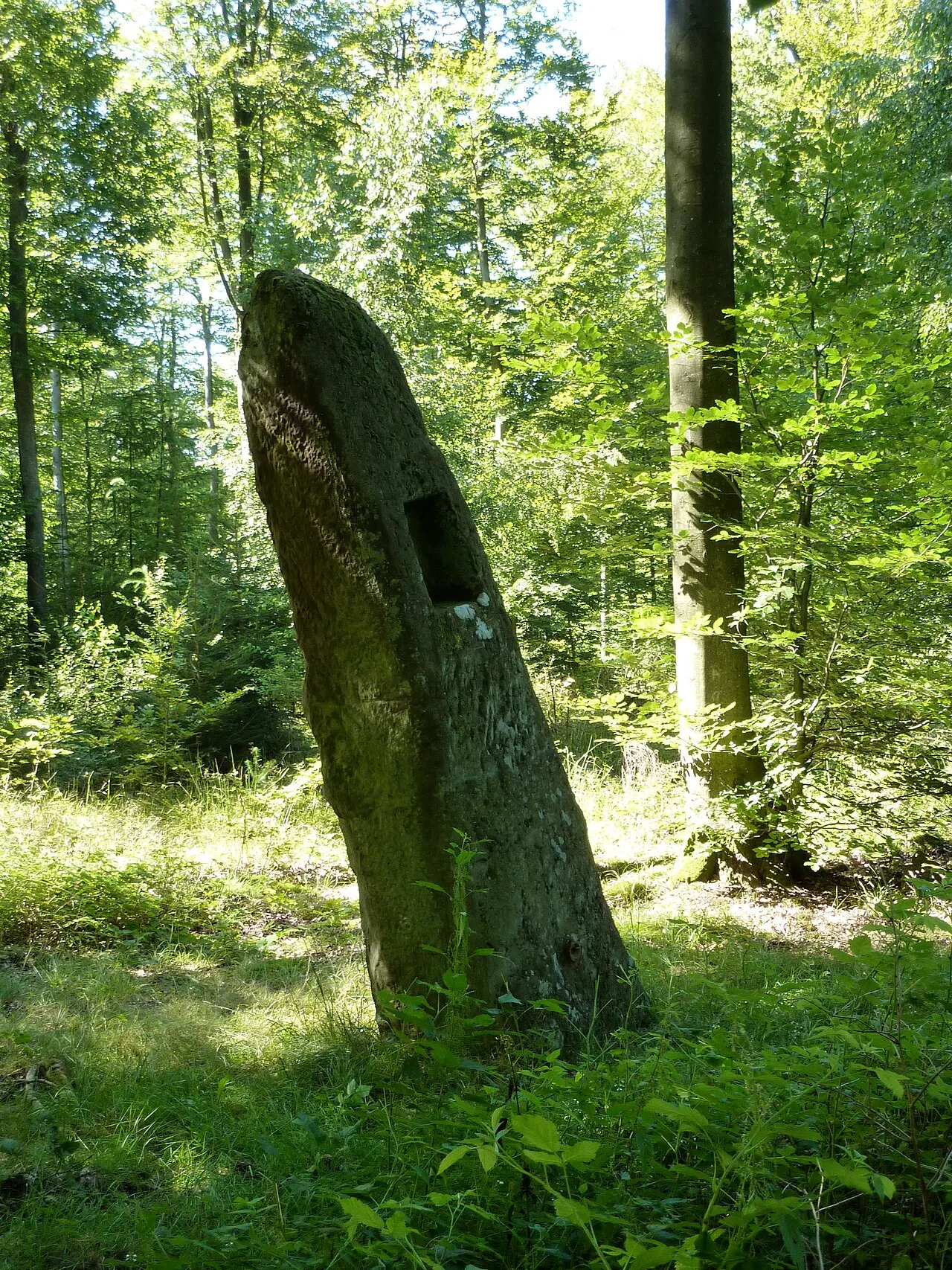 Menhir "la Pierre Pointue", Spitzensteinerkopf, Rosteig, France.