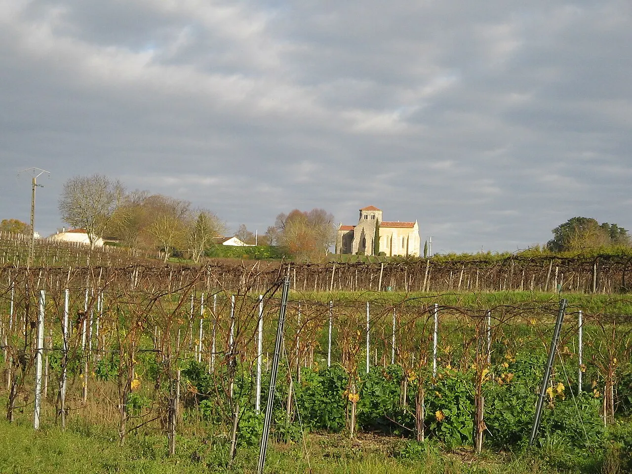 Vue de Saint-Eugène (17) en décembre 2011