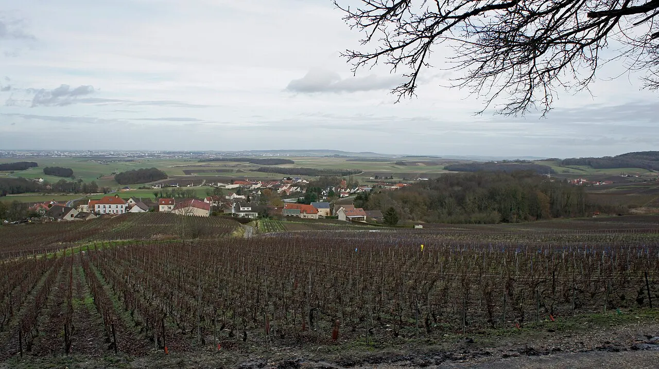 Vue de Sermiers_vers_Reims .