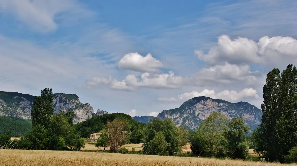Panorama