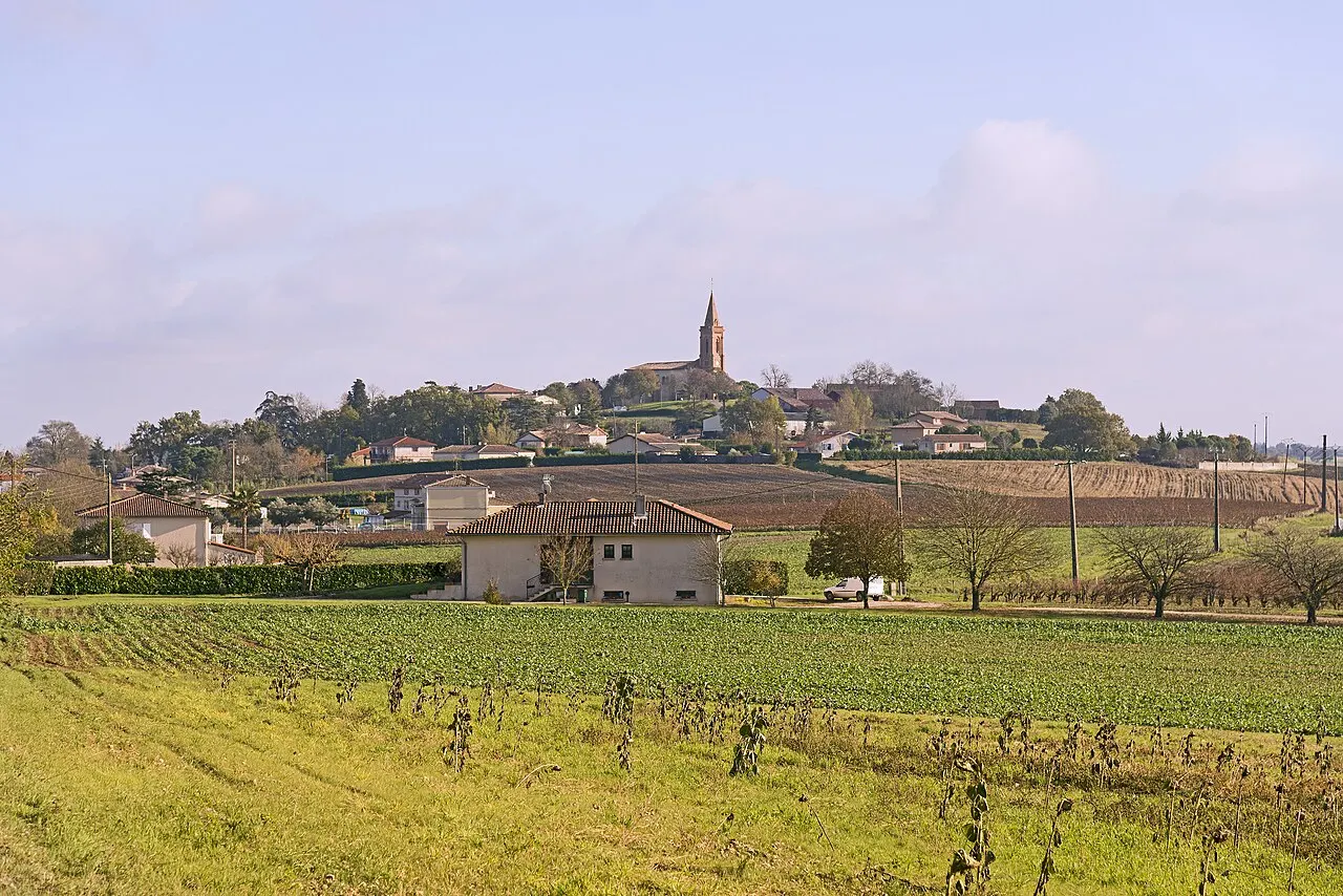 Vacquiers, Haute-Garonne, France.