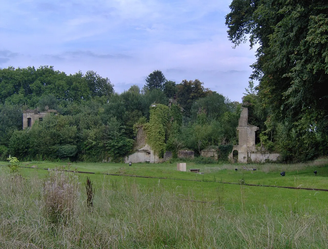 Les ruines du château de la Cassine, commune de Vendresse, Ardennes, France