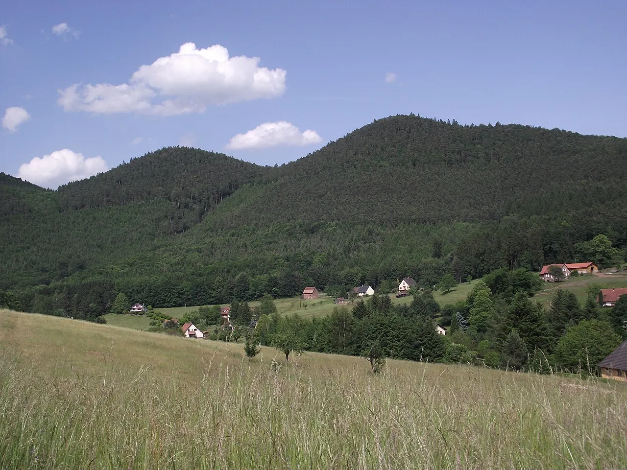 Aspect des Vosges du Nord à Windstein. Sommets du Mittelkopf (515 m) à gauche et du Steinkopf (515 m) à droite